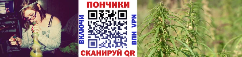 Купить Янаул Каннабис гибрид
